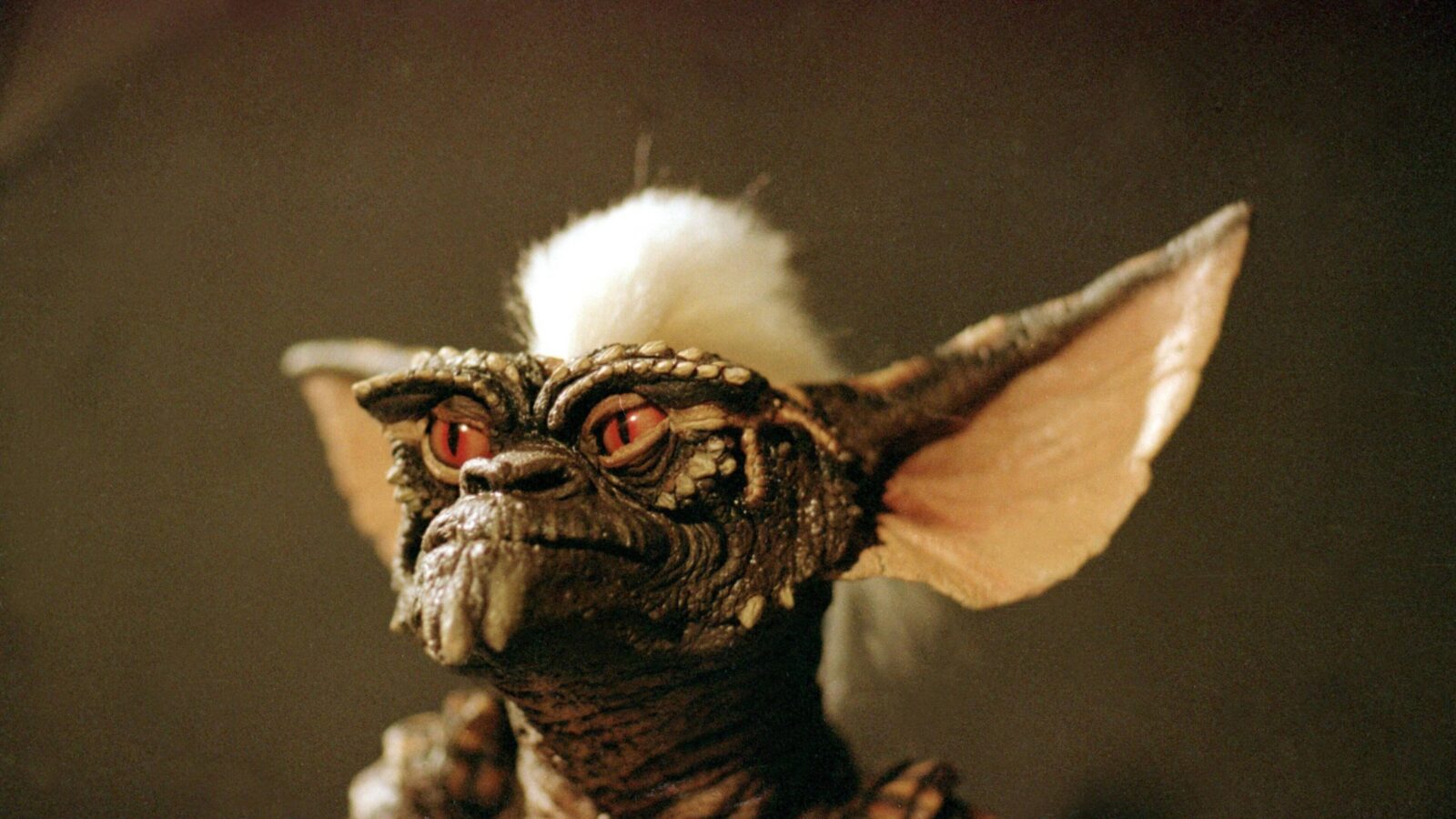 Stripe from Gremlins to help illustrate how to watch the Gremlins movies in order.