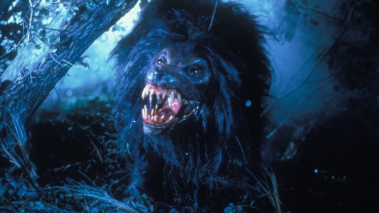 A werewolf from The Howling IV: The Original Nightmare for how to watch The Howling movies in order.